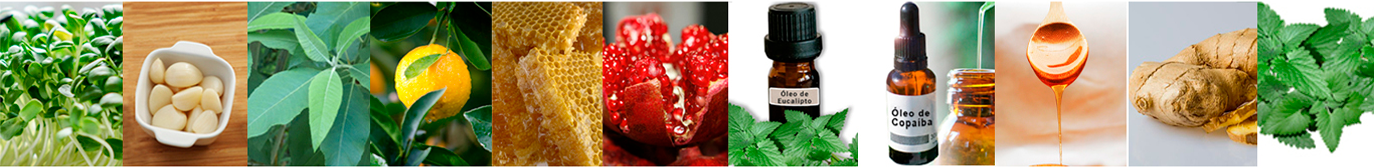 foto de todos os componetes