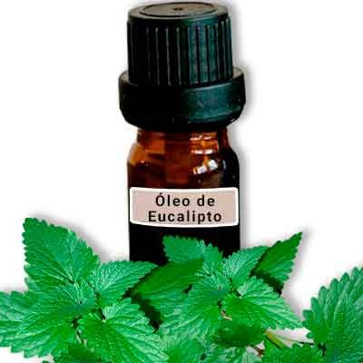 óleo-de-eucalipto